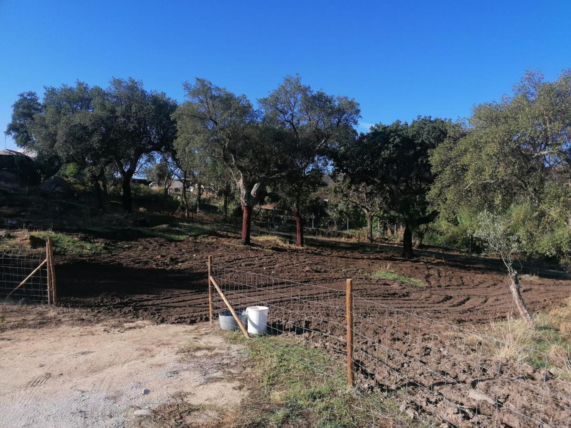 Casas De - Quinta Da Bela Vista Villa