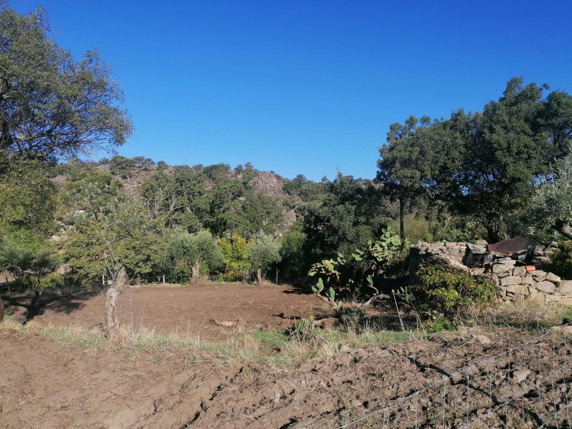 Casas De - Quinta Da Bela Vista * Marvao (Portalegre)
